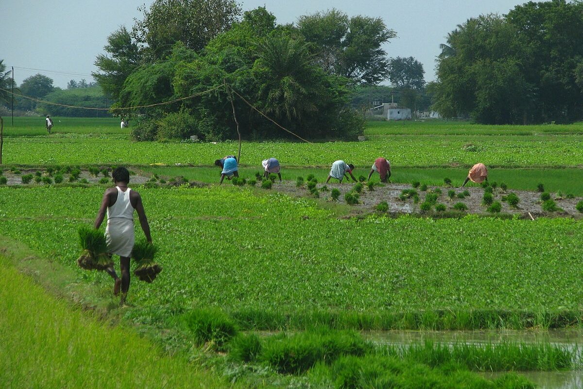 agriculture